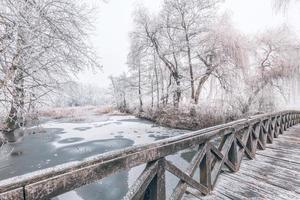 Winterszene im Botanischen Garten, die eine Brücke über gefrorenes Wasser und Bäume mit Neuschnee zeigt foto
