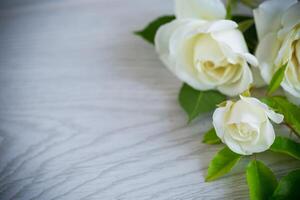 schön Weiß Sommer- Rosen, auf ein hölzern Tabelle foto