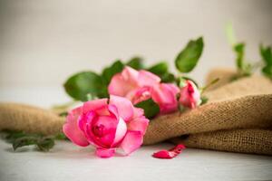Rosa schön Sommer- Rosen auf hölzern Tabelle foto