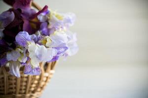 Strauß von schön Blühen Iris Blumen auf hölzern Hintergrund foto