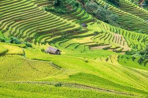 Landschaft von Reis Feld auf terrassiert mit Stamm Hütte Wahrzeichen von mu cang Chai foto