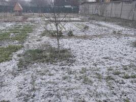 Schnee fiel auf das Garten wo Gemüse wachsen im das Dorf foto