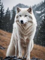 ai generiert Weiß Wolf mit Natur Hintergrund foto