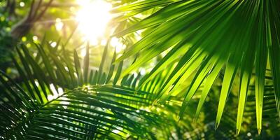 ai generiert glänzend Sonnenlicht im ein idyllisch Grün Palme Garten, tropisch Vegetation Hintergrund Banner mit Kopieren Raum zum reisen, Ferien und Ferien foto