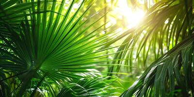 ai generiert glänzend Sonnenlicht im ein idyllisch Grün Palme Garten, tropisch Vegetation Hintergrund Banner mit Kopieren Raum zum reisen, Ferien und Ferien foto