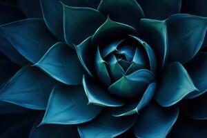 ai generiert dunkel Blau getönt abstrakt Hintergrund mit ein Agave Kaktus foto