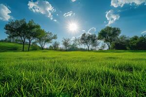 ai generiert schön Gras mit Bäume und Sonne foto