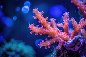 ai generiert Koralle Königreich großartig Schnappschuss foto
