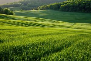 ai generiert ein groß Gras Feld foto