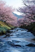 ai generiert ein still Fluss fließend durch ein blühen Kirsche blühen Baum Hain foto