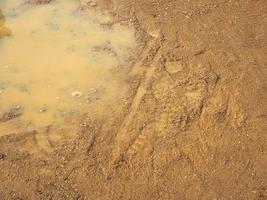 Pfütze aus Regenwasser und Schlamm foto