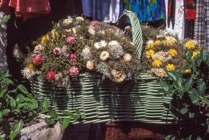 ein Korb gefüllt mit Blumen foto