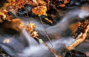 ein Strom von Wasser foto