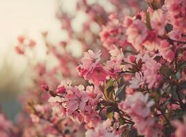 ai generiert Rosa Blumen Nahansicht Hintergrund foto