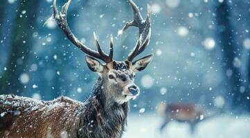 ai generiert ein Hirsch mit ein enorm Gestell Stehen im ein schön Schnee Sturm foto