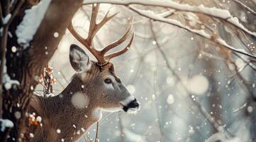 ai generiert Hirsch auf ein Baum mit Schnee foto