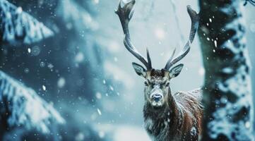 ai generiert Hirsch auf ein Baum mit Schnee foto