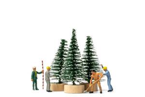 Miniaturleute, Arbeiter, die Weihnachtsbaum auf weißem Hintergrund vorbereiten foto