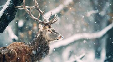 ai generiert Hirsch auf ein Baum mit Schnee foto
