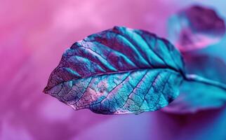 ai generiert ein Blatt ist auf ein Rosa Blau Hintergrund zeigen ein lila und Blau Farbe foto