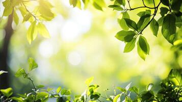 ai generiert Frühling natürlich Rahmen Hintergrund mit Kopieren Raum foto