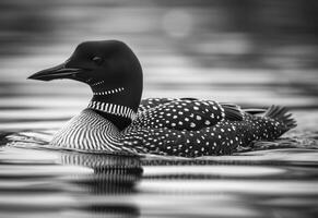 ai generiert ein braun Loon ist schwebend auf ein Körper von Wasser foto