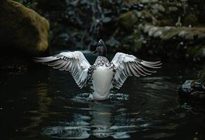 ai generiert ein Weiß Ente im Wasser mit es ist Flügel Verbreitung foto