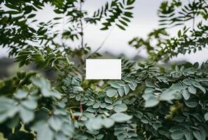 ai generiert Grün Blätter auf ein Weiß Karte Rahmen Hintergrund foto