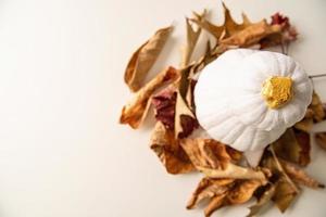 Moderner weißer Kürbis mit goldenem Stiel auf dem Haufen trockener Herbstblätter auf weißer Tischplatte mit flacher Ansicht foto