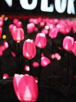 Hand gemacht Tulpe und elektrisch Licht Birne creat zum flog Licht Blumen feiern Stadt foto