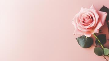 ai generiert Rose Blume auf Pastell- Hintergrund mit Kopieren Raum foto