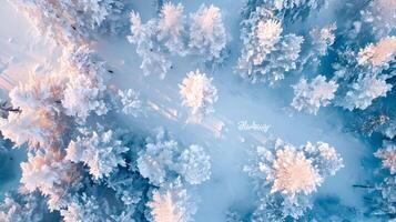 ai generiert oben Aussicht Fotografie von ein schneebedeckt Landschaft. Winter Wald. hohe Auflösung. ai generativ foto