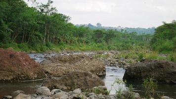 Blick auf den Fluss im asiatischen Land. eine der ecken des flusses in indonesien foto