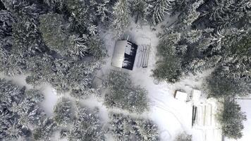 Vogelaugen Sicht. Clipansicht von das schneebedeckt Wälder mit groß Schneeverwehungen und groß hoch Tanne Bäume und verschiedene Bäume. foto