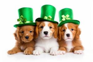 ai generiert ein Hund Porträt mit ein Hut zum st. Patrick's Tag, im das Stil von Fantasie Illustration. generativ ai foto