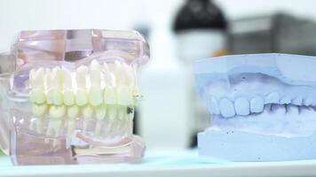 ein Modell- von das Kiefer auf das Tabelle von das Dental Klinik, Dental Pflege und Medizin Konzept. Medien. schließen oben zum das falsch Kiefer beim das Zahnarzt Büro. foto
