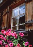 ein Fenster mit ein Blume Topf im Vorderseite von es foto