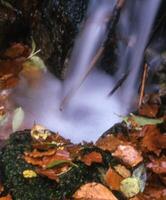 ein klein Wasserfall foto