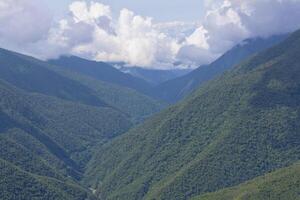 tropisch Wolke Wald Landschaft, manu National Park, Peru foto