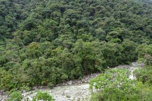 tropisch Wolke Wald Landschaft, manu National Park, Peru foto