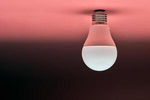 energiesparlampe, kopierraum, rosa hintergrund. minimales ideenkonzept. foto