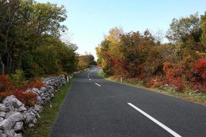 Straße in Herbstfarben foto