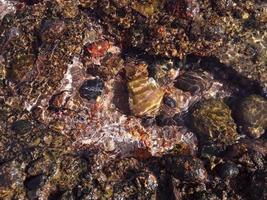 Steintextur im Roten Meer im ägyptischen Ferienort Sharm el Sheikh foto