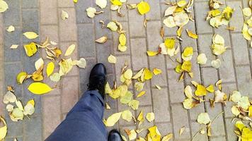 gefallene Ahornblätter unter den Füßen. Füße geht den Bürgersteig mit gelben Blättern entlang. foto