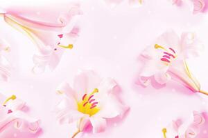 Rosa natürlich Blumen- Hintergrund. Gruß Karte. schön Frühling Blume Weiß Lilie Nahansicht auf ein Licht Hintergrund. foto