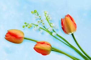 natürlich Blumen- Komposition. Frühling Blumen Lilien von das Senke und Tulpen. foto