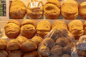 Oaxaca Brot namens schwenken de Ja oder Eigelb Brot traditionell Frühstück im Oaxaca Mexiko foto