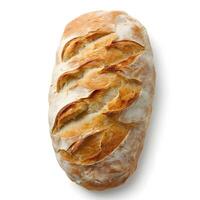 ai generiert Ciabatta Brot isoliert auf Weiß Hintergrund foto