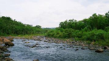 Blick auf den Fluss im asiatischen Land. eine der ecken des flusses in indonesien foto