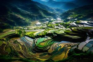 Reis Felder auf terrassiert von mu cang Tschai, yenbai, Vietnam. Reis Felder bereiten das Ernte beim Nordwest vietnam.vietnam Landschaften. neural Netzwerk ai generiert foto